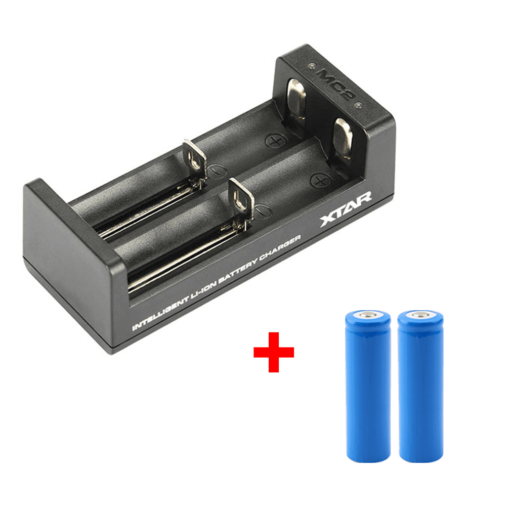 DS6232 | Akkuladegerät + 2 zusätzliche Akkus für DS4450 + DS1900